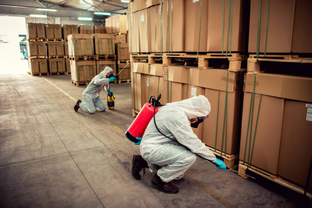 Best Emergency Pest Control  in Union Grove, WI