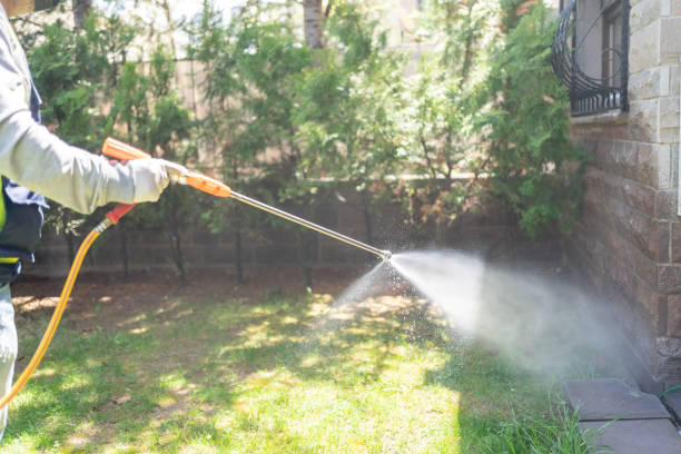 Best Termite Control Services  in Union Grove, WI