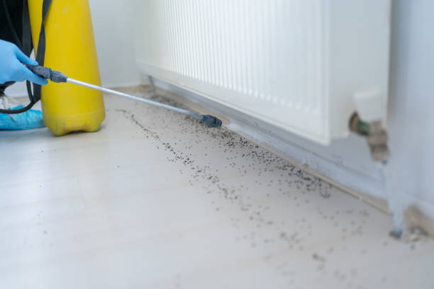 Best Residential Pest Control  in Union Grove, WI